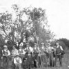Agricoltori a lezione di potatura ulivi