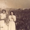 Giovani donne in vigna