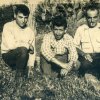 Sangavinesi in campagna