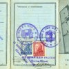 Tessera Fascio di combattimento