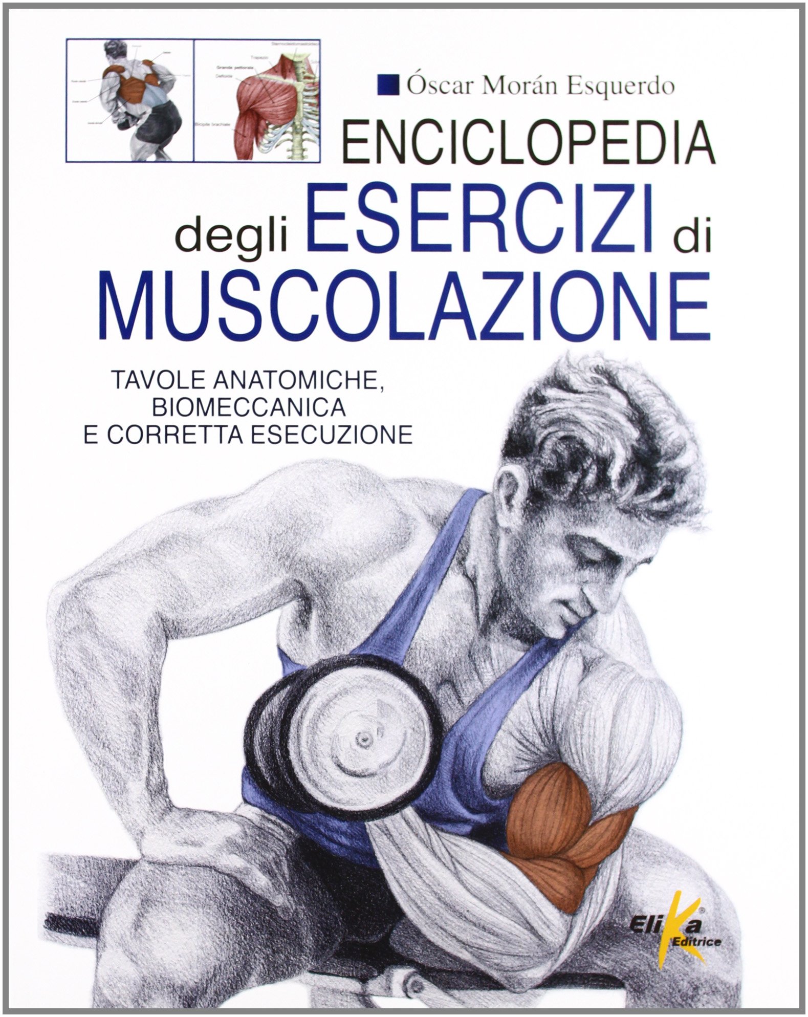 esercizi muscolazione