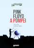 pin floyd a pompei