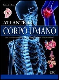 atlante umano